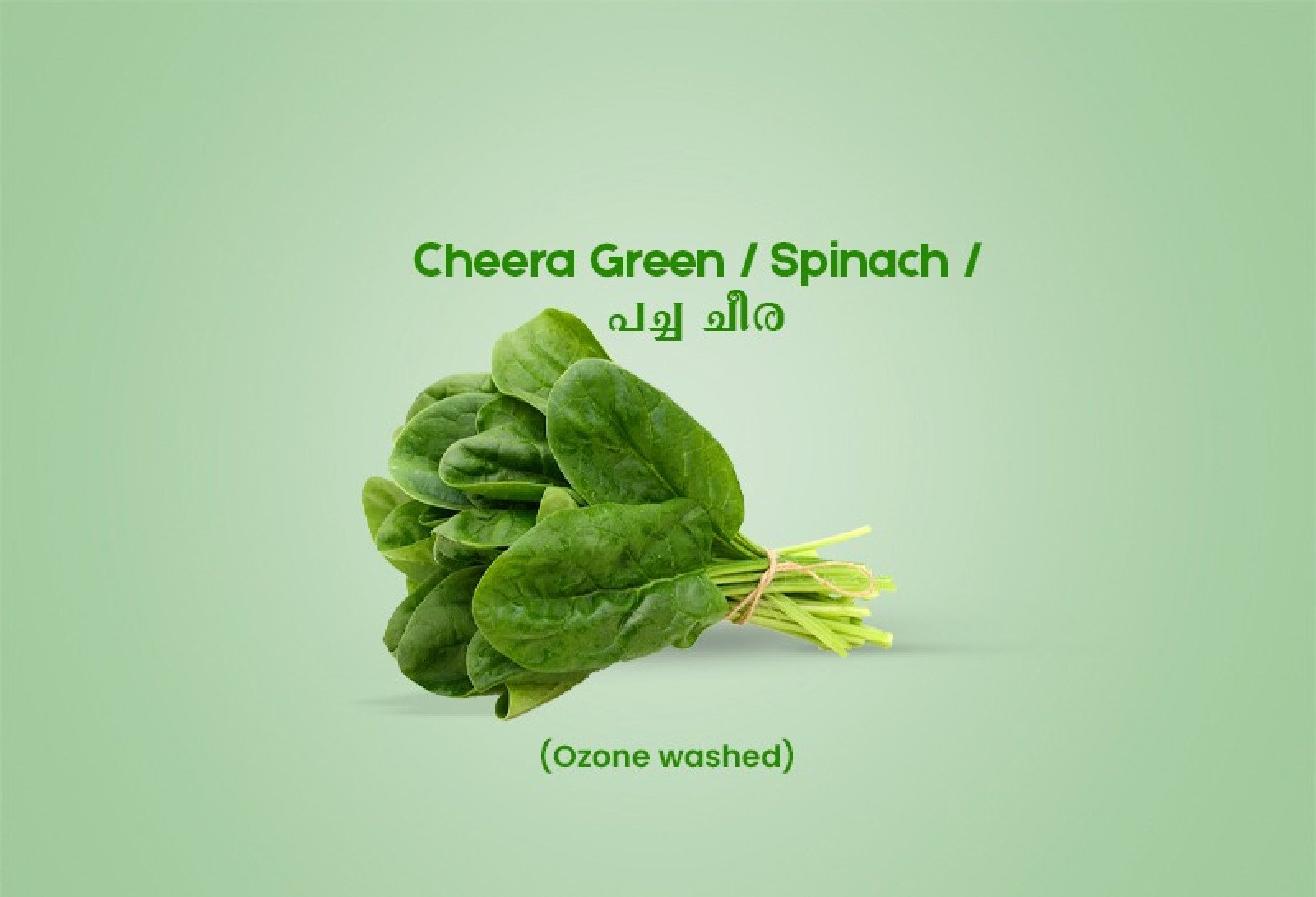 Cheera Green / Spinach / പച്ച ചീര - 200.00 gm Pack (Ozone Washed)